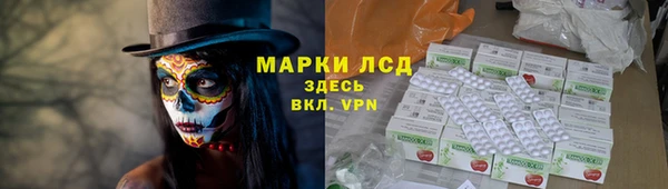 spice Сосновый Бор