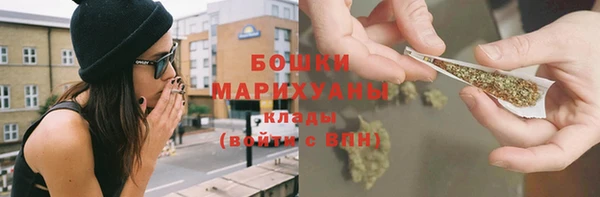 прущие грибы Снежинск
