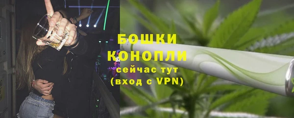 прущие грибы Сосновка