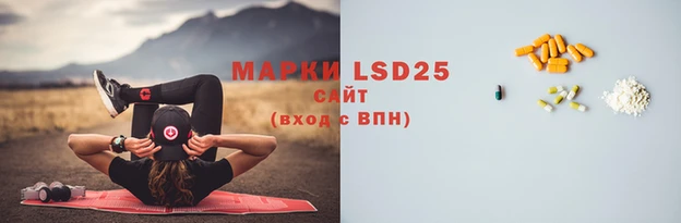 прущие грибы Сосновка