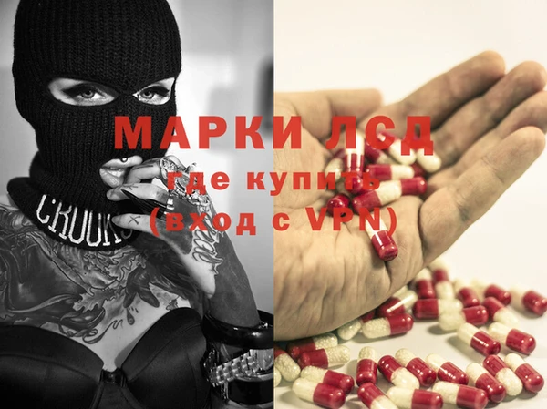 прущие грибы Сосновка