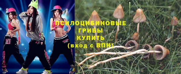 прущие грибы Сосновка