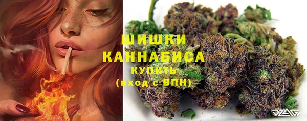 jwh Снежногорск