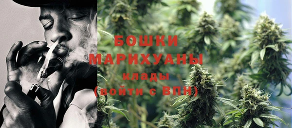 прущие грибы Сосновка