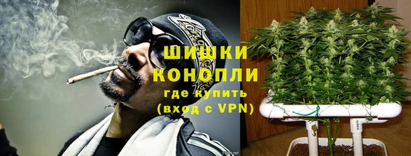 ГАЛЛЮЦИНОГЕННЫЕ ГРИБЫ Сосновоборск