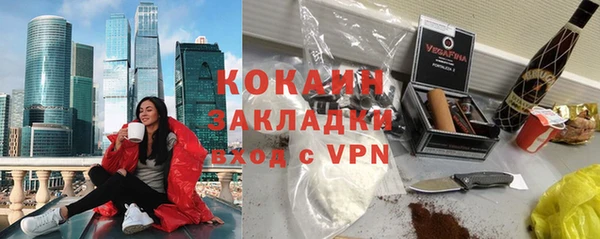 прущие грибы Сосновка