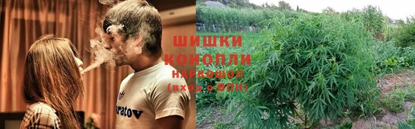 ГАЛЛЮЦИНОГЕННЫЕ ГРИБЫ Сосновоборск